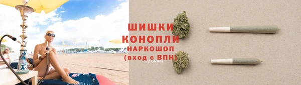 трава Белокуриха