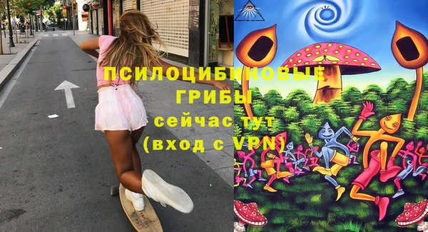 индика Нефтекумск