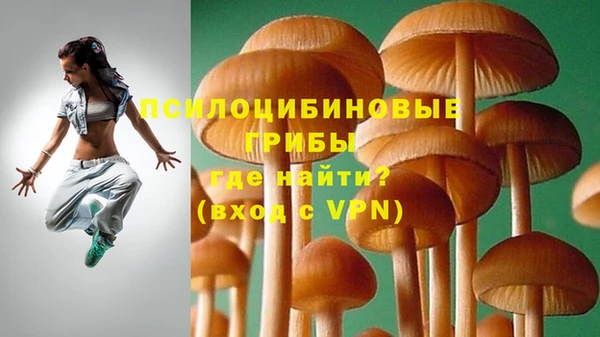 марки lsd Нея