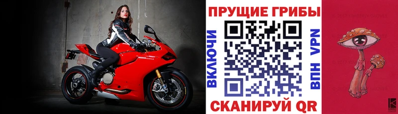 omg ONION  Талица  Галлюциногенные грибы мицелий 